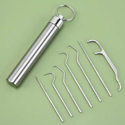 Stainless Steel Toothpicks Pocket Set