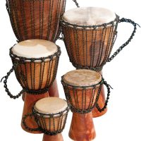 Djembe Beginner Plain, 16″ tall, 7.5-8.5″ head 16″ tall, 7.5-8.5″ head … - Image 2