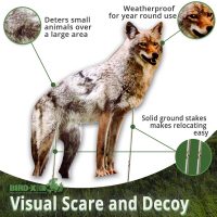 Bird-X Coyote Flat Decoy, large - Image 3